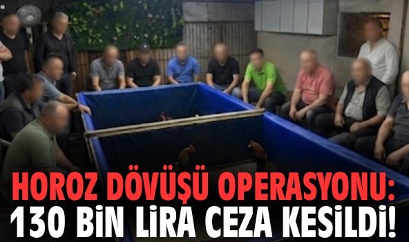 Horoz dövüşü operasyonu: 130 bin lira ceza kesildi!