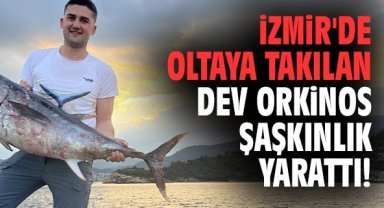 İzmir'de oltaya takılan dev orkinos şaşkınlık yarattı!
