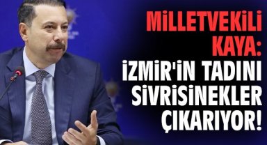 Milletvekili Kaya: İzmir'in tadını sivrisinekler çıkarıyor!