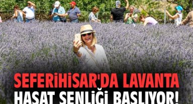 Seferihisar'da Lavanta Hasat Şenliği başlıyor!