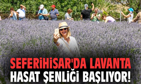 Seferihisar'da Lavanta Hasat Şenliği için geri sayım başladı!