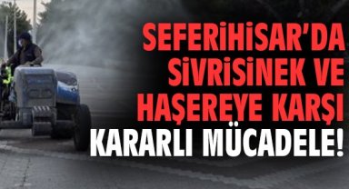 Seferihisar’da sivrisinek ve haşereye karşı kararlı mücadele!