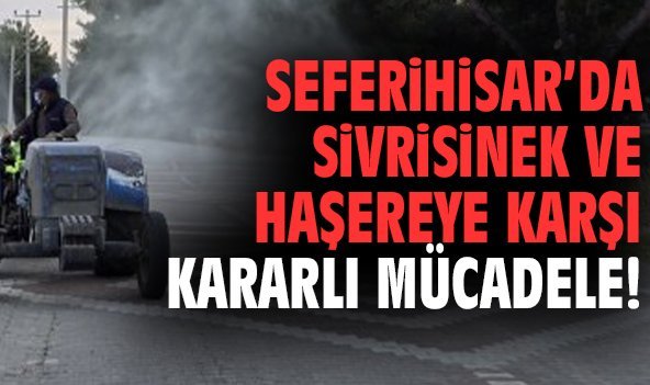 Seferihisar’da sivrisinek ve haşereye karşı kararlı mücadele!