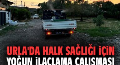 Urla'da halk sağlığı için yoğun ilaçlama çalışması
