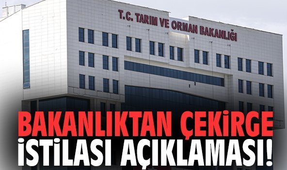 Bakanlıktan çekirge istilası açıklaması!