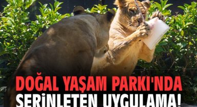 Doğal Yaşam Parkı'nda serinleten uygulama!
