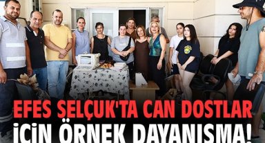 Efes Selçuk'ta can dostlar için örnek dayanışma!