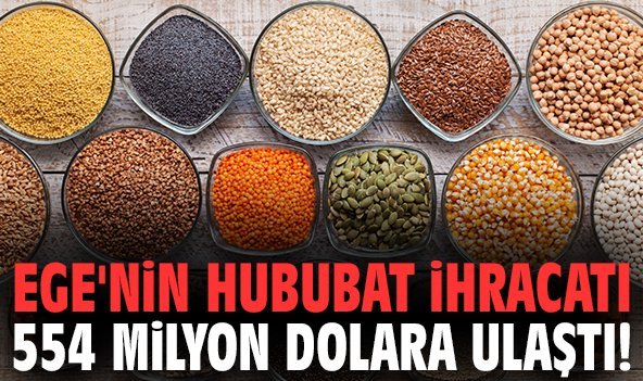 Ege'nin hububat ihracatı 554 milyon dolara ulaştı!