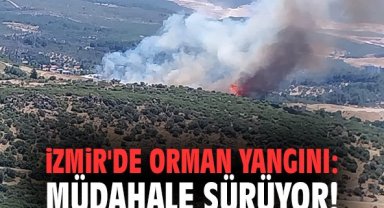 İzmir'de orman yangını: Müdahale sürüyor!