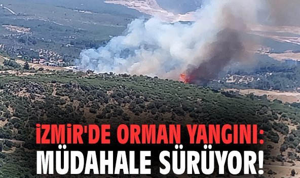 İzmir'de orman yangını: Müdahale sürüyor!