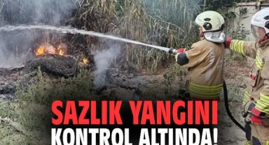 Sazlık yangını kontrol altında!