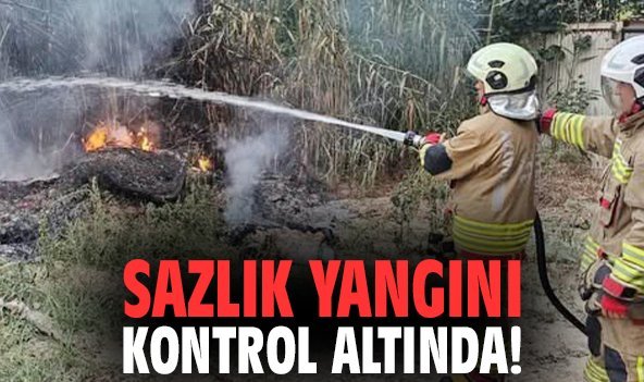 Sazlık yangını kontrol altında!
