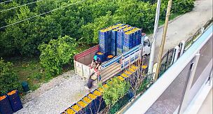 SEFERİHİSAR'DA MANDALİNANIN TANITIM FİLMİ